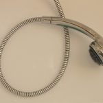 フェレットのお世話画像